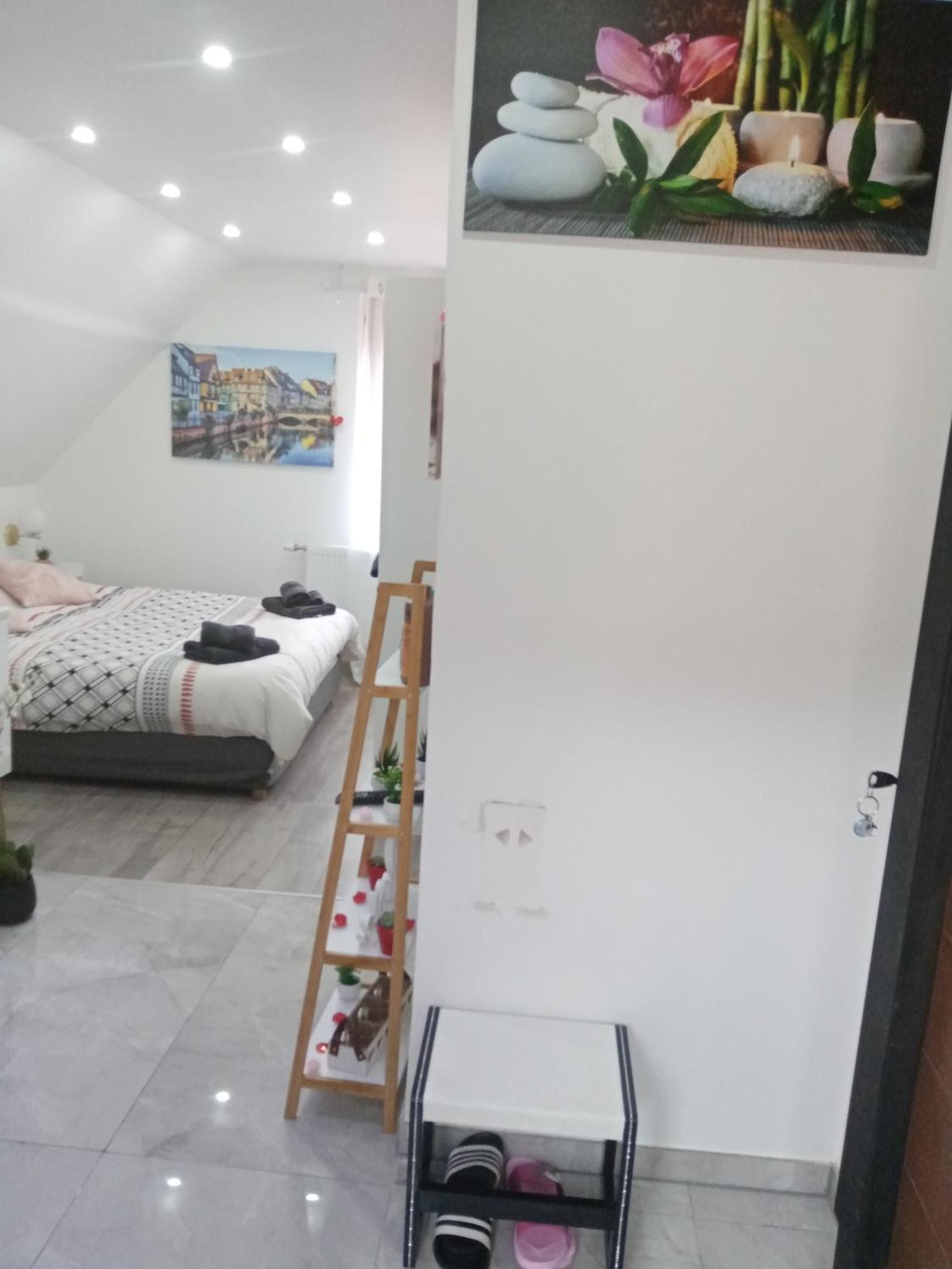 Studio Jacuzzi Au Centre Colmar Room photo